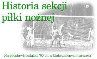 KS Wisłoka Dębica