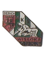 KS Wisłoka Dębica