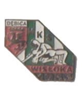 KS Wisłoka Dębica