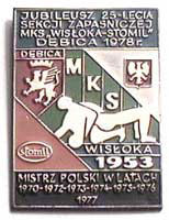 KS Wisłoka Dębica