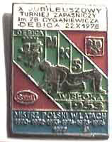 KS Wisłoka Dębica