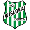 KS Wisłoka Dębica