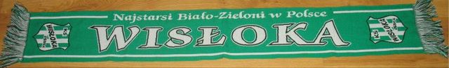 KS Wisłoka Dębica