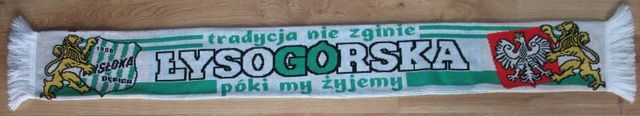 KS Wisłoka Dębica