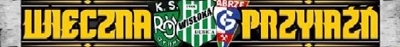KS Wisłoka Dębica