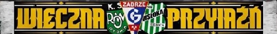 KS Wisłoka Dębica