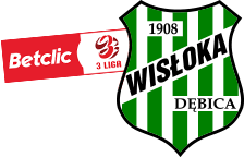 Logo Wisłoka Dębica